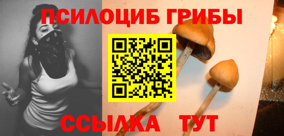 Спасск-Дальний  Галлюциногенные грибы прущие грибы  Галлюциногенные грибы ЛСД  Вход с VPN 
